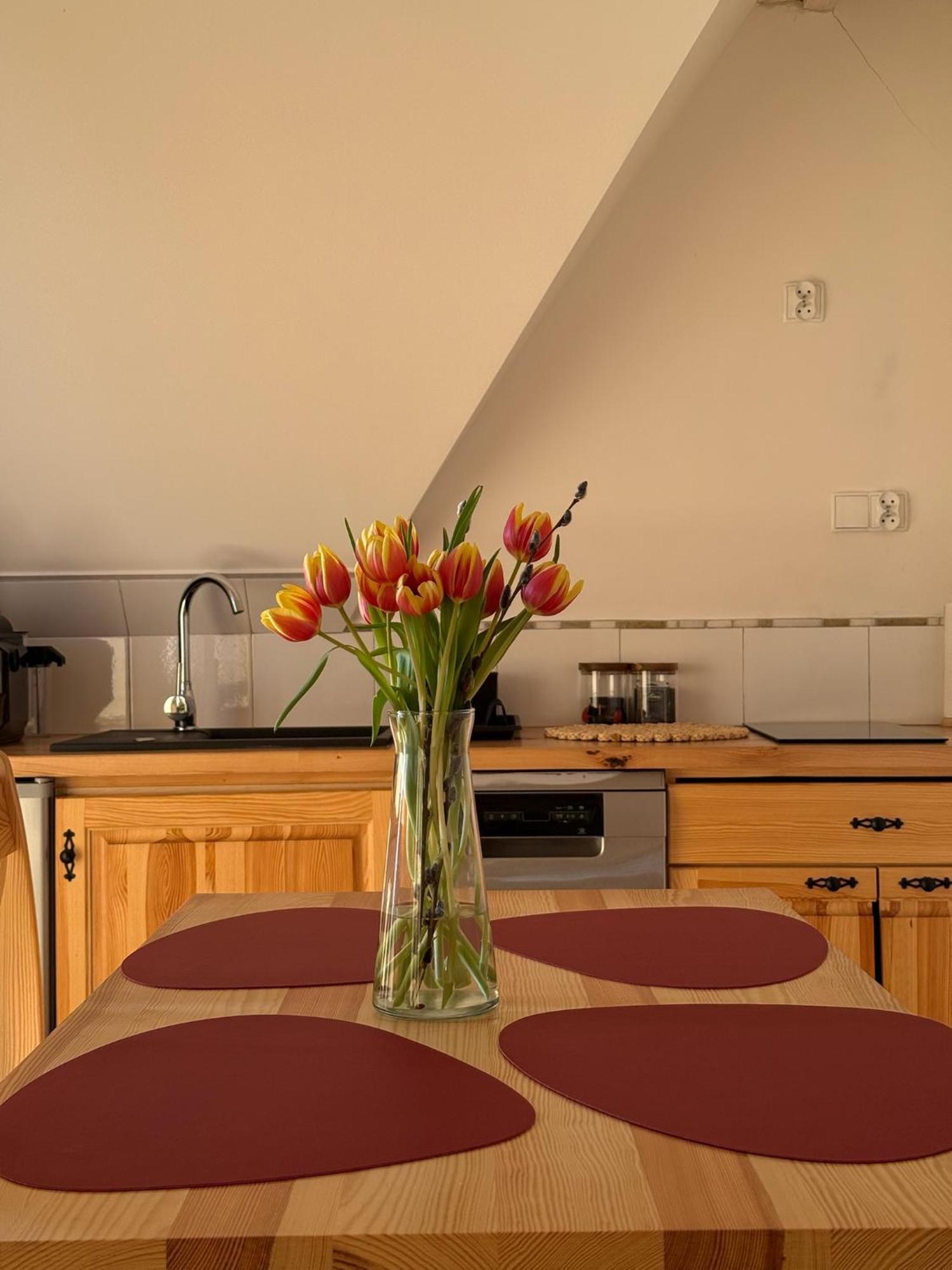 Widok Apartamenty Ζακοπάνε Εξωτερικό φωτογραφία